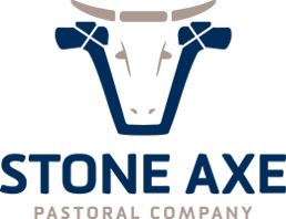 Stone Axe logo