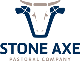 Stone Axe