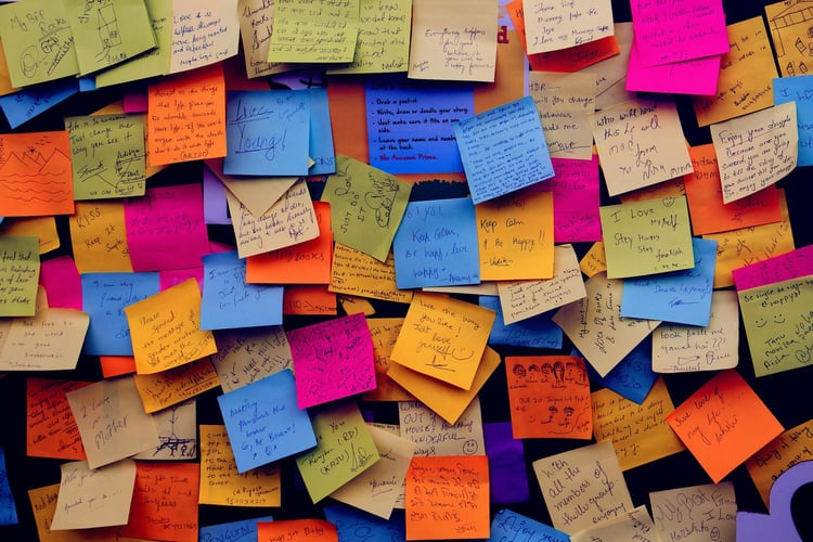 OneNote 101: Get organised and productive with Microsoft OneNote
