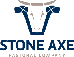 Stone Axe logo