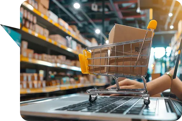 Cost-effective Solutions & Bulk Discounts