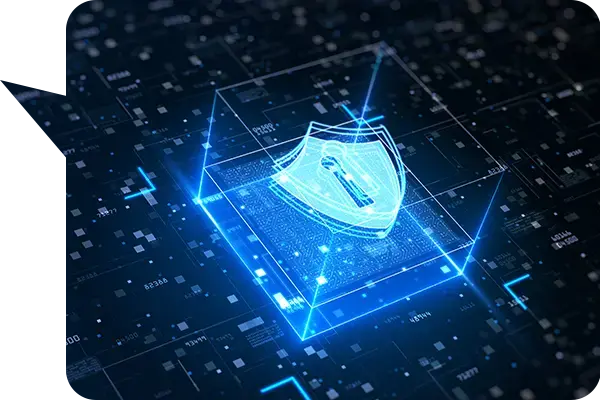 Maintain Hardware Efficiency & Security